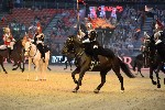 Cavalry - 00121